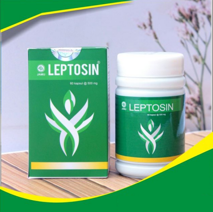 Obat Herbal Pengecil Perut Buncit Pada Wanita,Leptosin